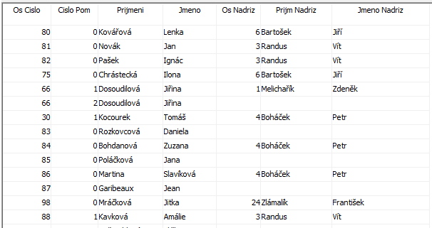 Nadrizeny zamestnance-Sestava.png