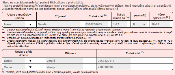 Soubor:RZD 2025-portal-manzel ka-Priklad1.png